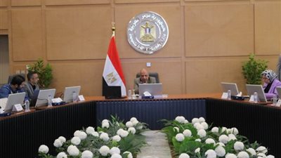 محمود عصمت: انتهاء مشروع الربط الكهربائي بين مصر والسعودية الصيف المقبل