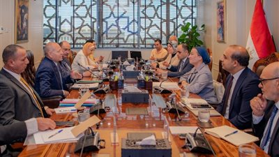 «البيئة» تتعاون مع محافظة القاهرة للتصدي لتغيرات المناخ بغرس الأشجار