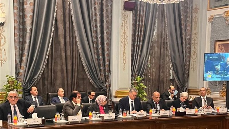 المهندس كريم بدوي وزير البترول