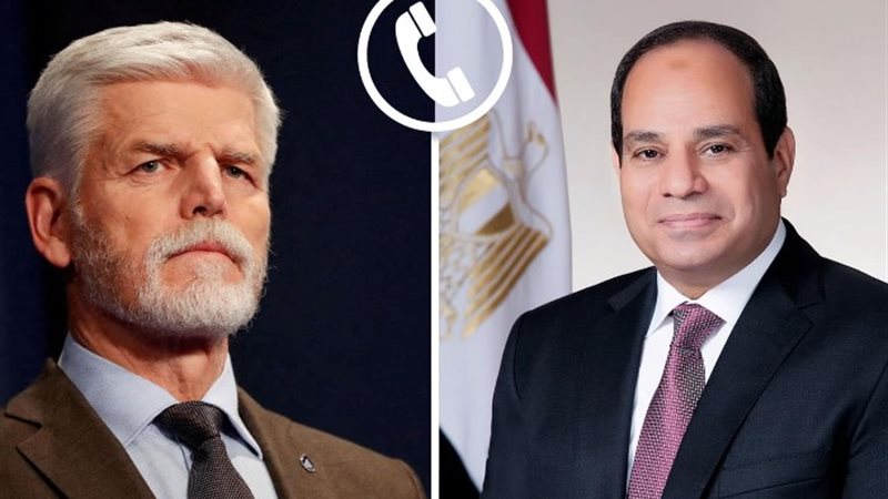 الرئيس السيسي ونظيره التشيكي
