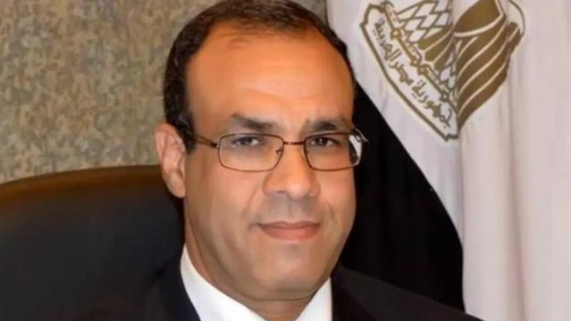 الدكتور بدر عبد العاطي وزير الخارجية والهجرة وشئون المصريين