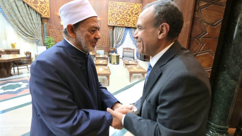 شيخ الأزهر ووزير الخارجية