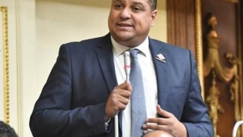 النائب محمد إسماعيل عضو مجلس النواب عن تنسيقية شباب الأحزاب