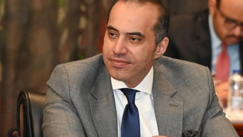 المستشار محمود فوزي