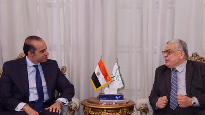وزير الشئون النيابية يلتقي رئيس مجلس الدولة