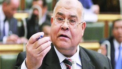 «الشهابي»: الإفراج عن 79 محبوسا يدعم الحوار الوطني والجمهورية الجديدة