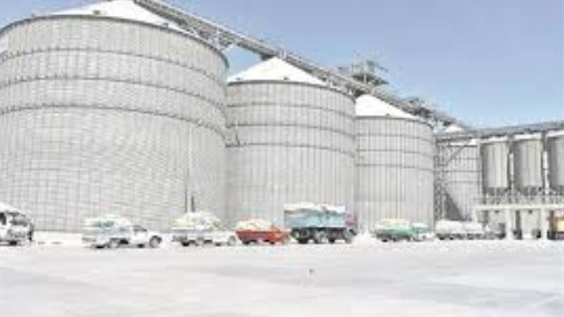 شركة مطاحن شرق الدلتا