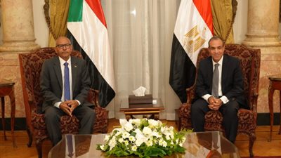 وزير الخارجية يؤكد لنظيره السوداني دعم مصر لاستقرار وسلامة الخرطوم