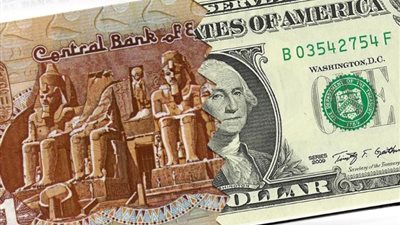 انخفاض سعر الدولار اليوم الأربعاء 24-7-2024 في البنك المركزي، وصل كام؟