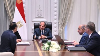 الرئيس السيسي يطلع على جهود توفير الاحتياجات العاجلة للكهرباء من المنتجات البترولية