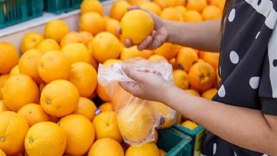 تصدير 136 صنفًا أبرزها الفاصوليا والموالح بإجمالي 82 ألف طن خلال أسبوع