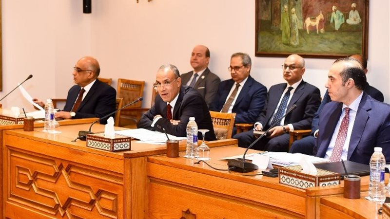 الدكتور بدر عبد العاطي وزير الخارجية والهجرة وشئون المصريين