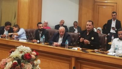 شعبة السيارات تطالب بتشريع ينظم سوق السيارات الكهربائية في مصر