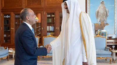 خلال لقاؤه مع وزير الخارجية، أمير قطر يشيد بتطور العلاقات مع مصر