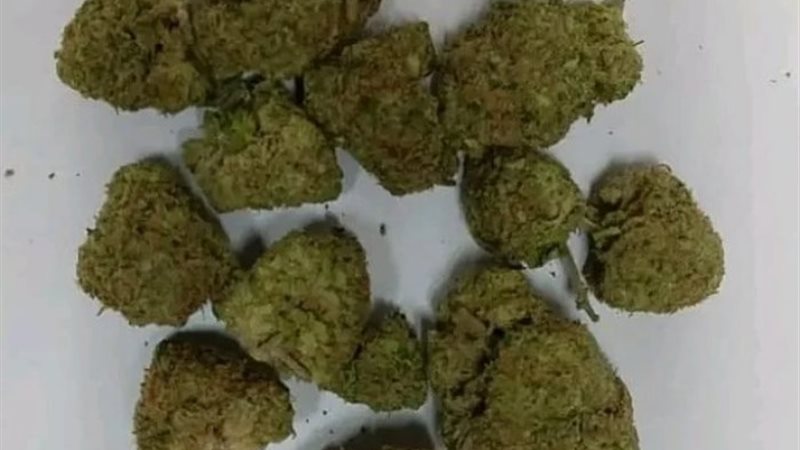 المخدر