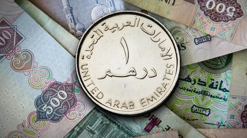 سعر الدرهم الإماراتي مقابل الجنيه المصري