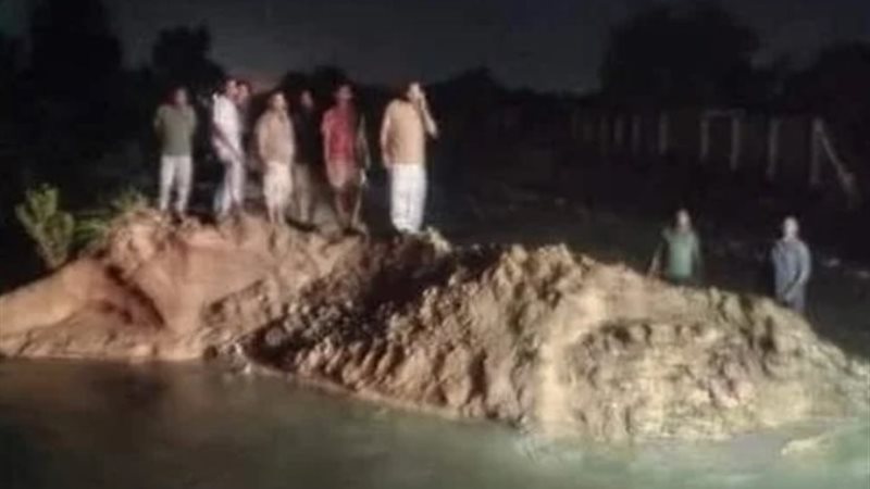 أرشيفية