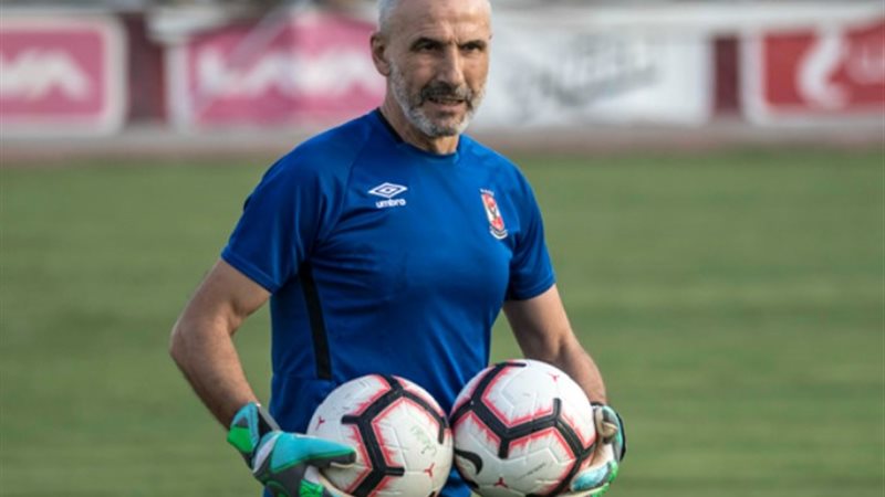 ميشيل يانكون