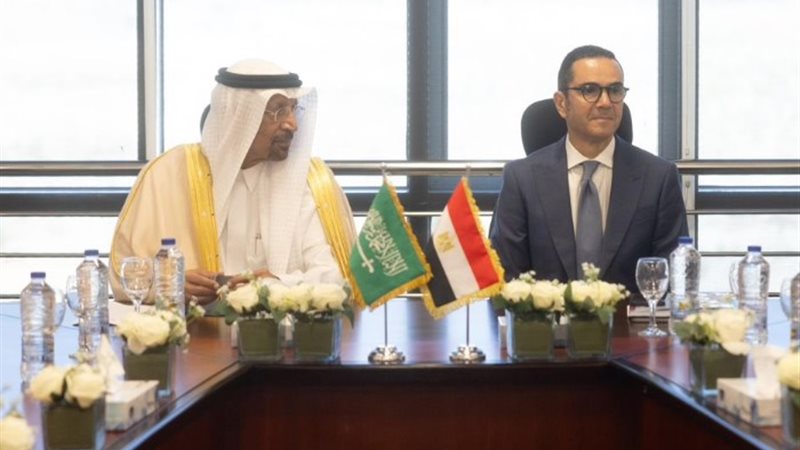 وزيرا الاستثمار في مصر والسعودية