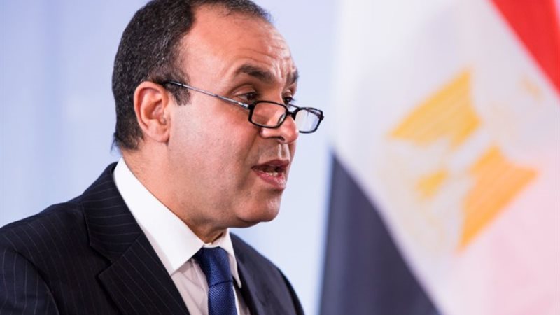 السفير بدر عبد العاطي، وزير الخارجية
