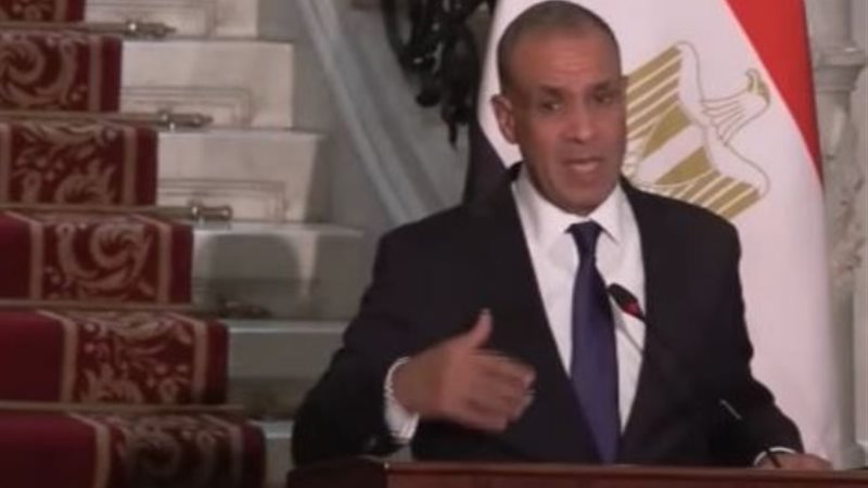 ‏وزير الخارجية والهجرة وشئون المصريين بالخارج