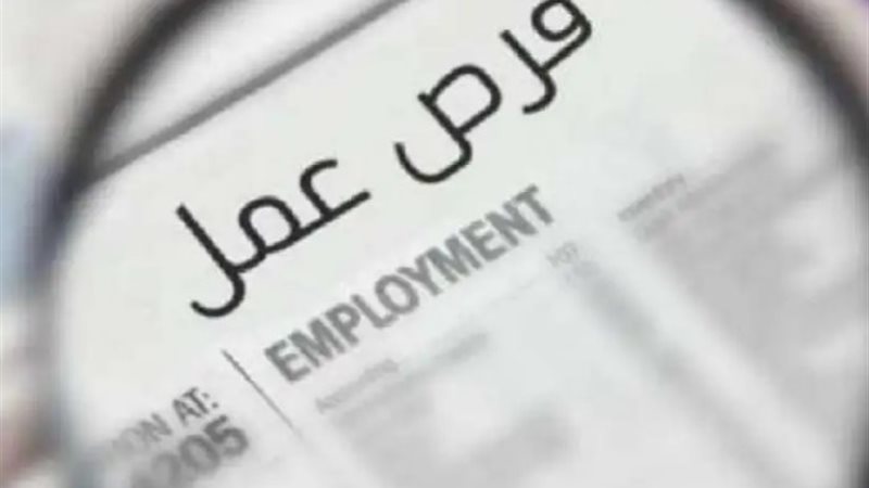 فرص العمل_ أرشيفية