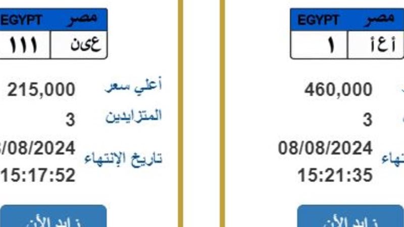 لوحات يجري التزايد عليها