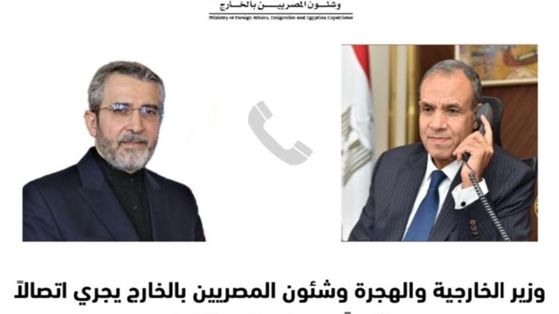 وزيرا خارجية مصر وإيران
