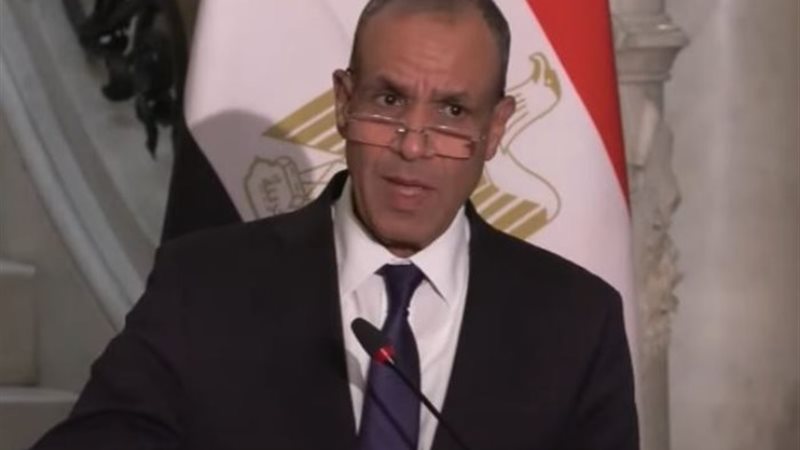السفير بدر عبد العاطي وزير الخارجية