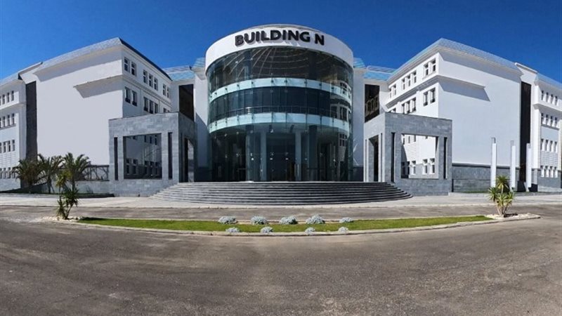 جامعة سيناء