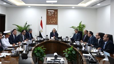 الحكومة: مسارات بديلة للدواب بمنطقة الأهرامات وتطبيق إلكتروني لرحلات المدارس