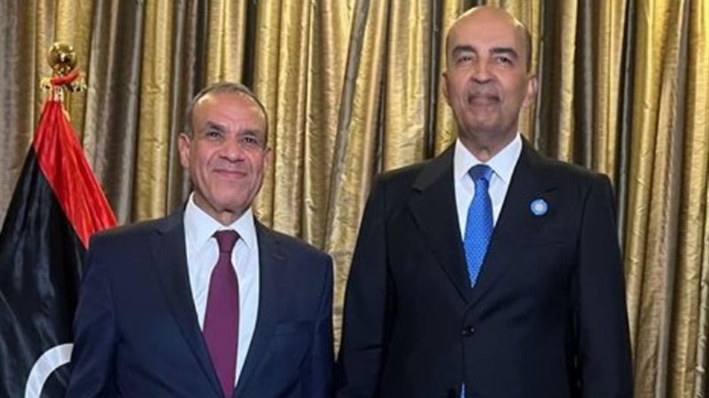 وزير الخارجية بدر عبد العاطي ونائب رئيس المجلس الرئاسي اللي