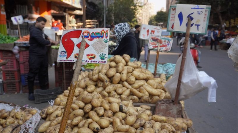 البطاطس