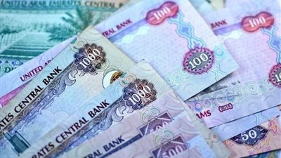 سعر الدرهم الإماراتي مقابل الجنيه المصري اليوم الثلاثاء 13-8-2024