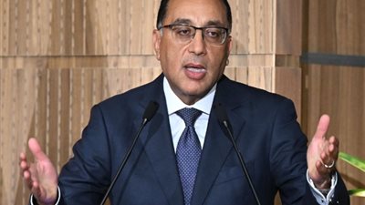 رئيس الحكومة: توطين 6 موديلات سيارات كهربائية في مصر حتى عام 2027