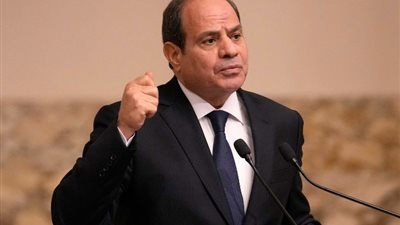 الرئيس السيسي: مصر تتولى قيادة مجلس السلم والأمن الإفريقي أكتوبر المقبل