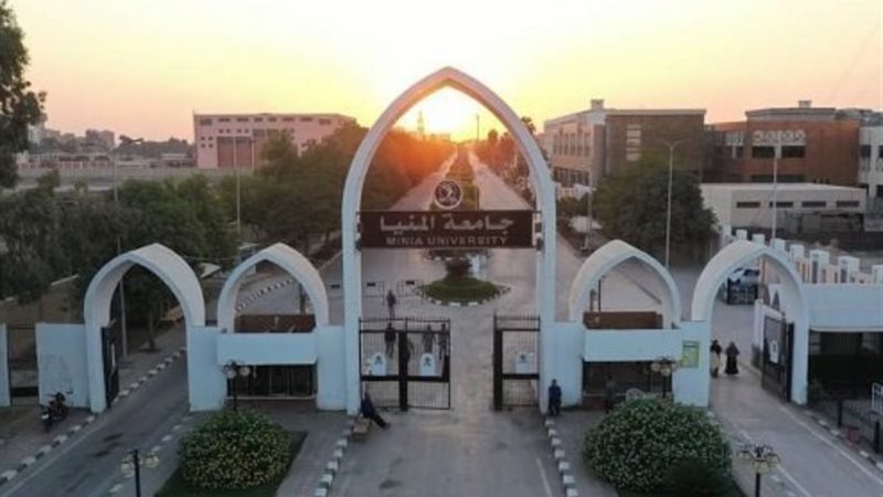 مؤشرات تنسيق جامعة المنيا