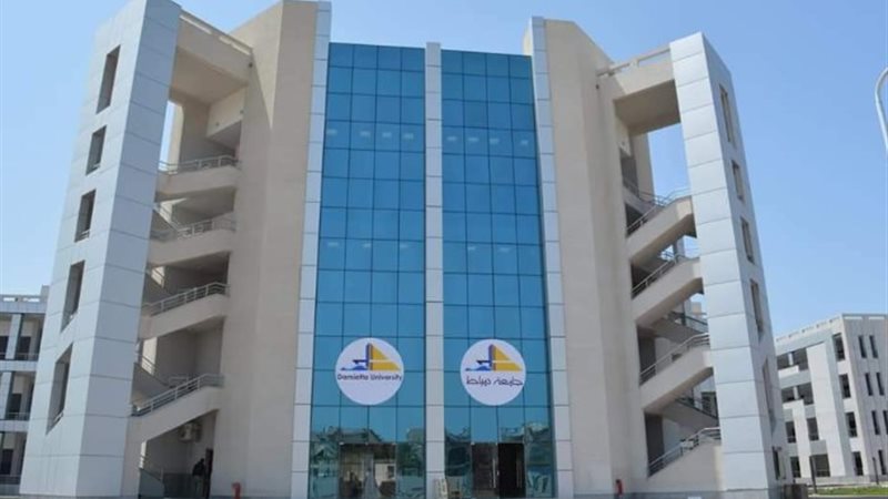 جامعة دمياط
