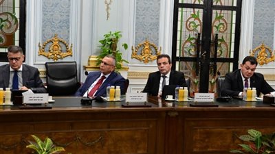 «النواب»: تفعيل حماية حقوق المرأة والطفل بتأجيل تنفيذ بعض العقوبات على الحامل