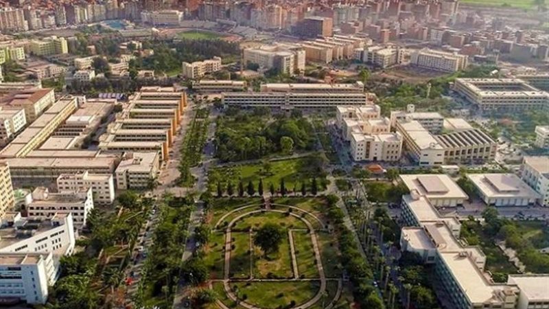جامعة المنصورة