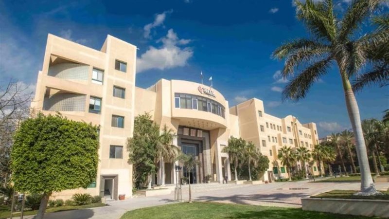 جامعة مصر الدولية