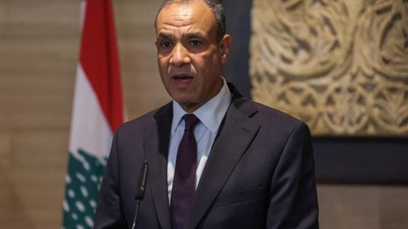 وزير الخارجية السفير بدر عبد العاطي