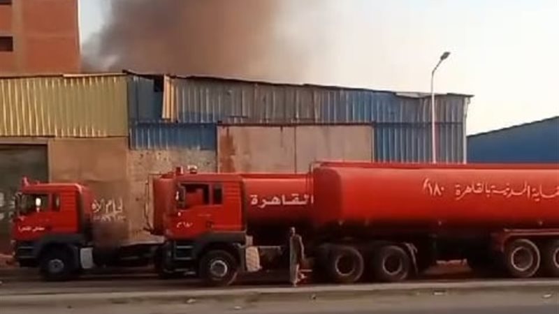 ارشيفية