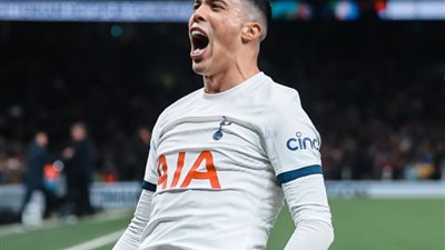 بهدف بورو، توتنهام يتقدم على ليستر سيتي في الشوط الأول (فيديو)