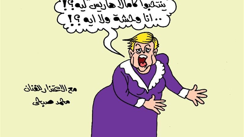 كاريكاتير موقع الجمهور،