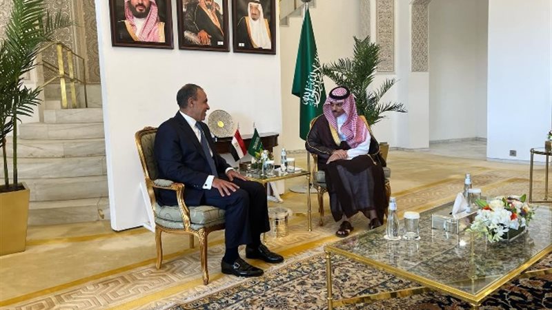 وزير الخارجية المصري مع نظيره السعودي