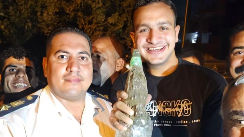تمساح البدرشين