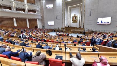 برلمانيون: أعلى استثمار يكون في بناء الإنسان والمشروع يعكس رؤية مصر 2030