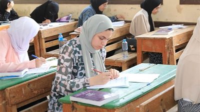 مدير «شاومينج» مهدد بالسجن 7 سنوات وغرامات تصل إلى 200 ألف جنيه