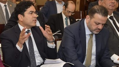 ضياء الدين داود: مشروع قانون الإجراءات الجنائية الجديد يتلافى مشاكل تشابه الأسماء
